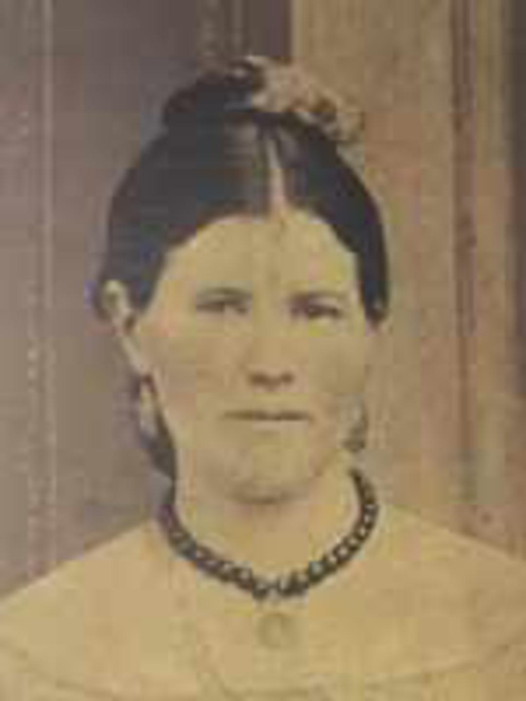 Mary Jane Higley (1847 - 1934) Profile